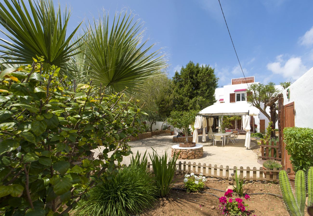 Jardín privado de esta villa Can Lucía junto a la playa de Sant Antoni en Ibiza